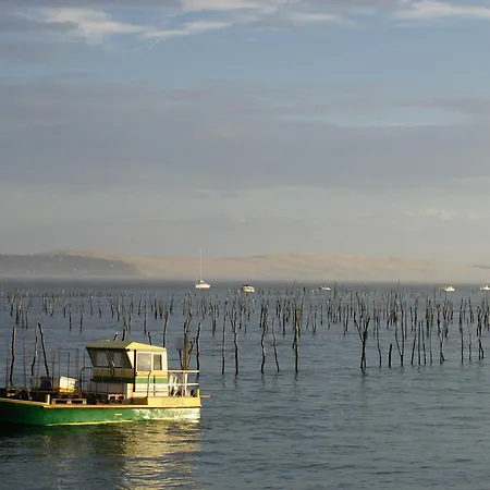 T3 Au Centre D'arcachon - 70 M², Terrasse, Proche Plages Et Commerces, Wifi - Fr-1-420-151 Appartamento *